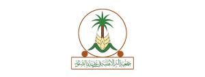 جمعية البر بعقلة الصقور (لقطة شاشة للموقع)